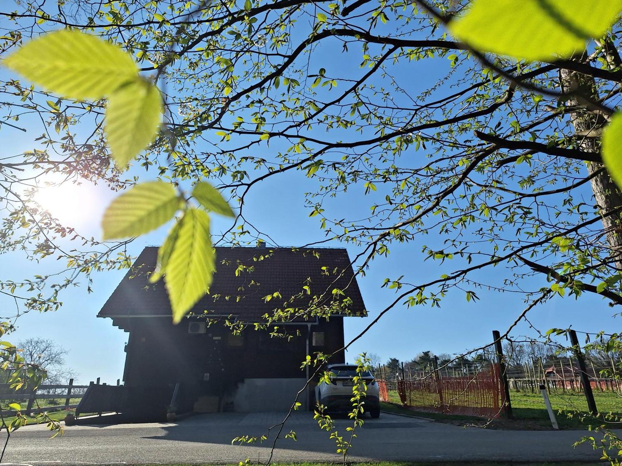 Logarska Koca Villa Fokovci Exterior foto